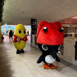よんよん