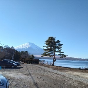 みやこし