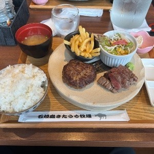 コマリさん